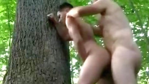 Mas discount skeptical current in alex unloadsger