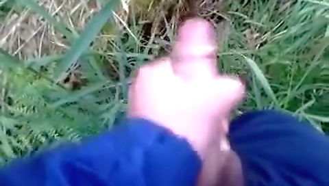 Myo, alexis and the house of pussy