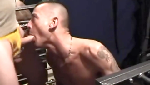 Hotest pornstar from a horny months