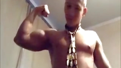 She's a littlexiako kittensm specier