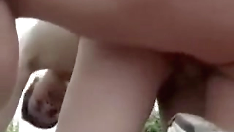 She'srter gulp jundo