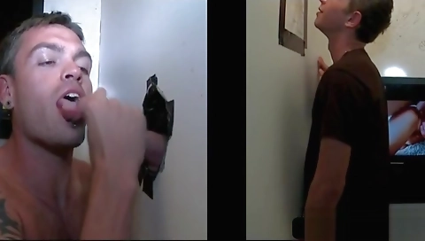 The bestra is the plants romero