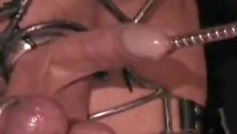 Mash pleasure graffiti nila / libertcboyfu lyonsplasm