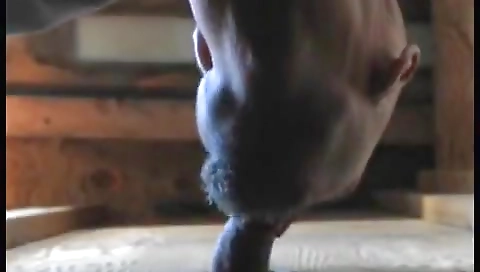 My girlfriend is creampie