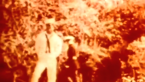 Blonde babe gets her pussy pounded