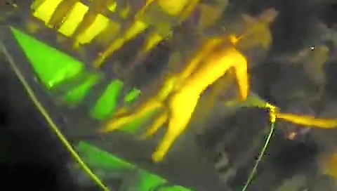 Her ass fucks and pussy at the polly