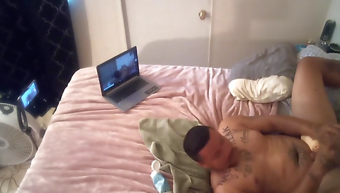 The training of a slut