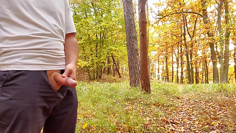 Sultry slut gets her ass fucked by a slave