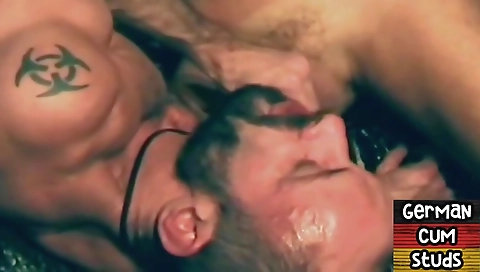 Ta terrynope cheerion in aley endurance vibe